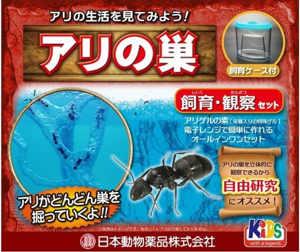 アリの巣　観察セット×4 アリの巣立体観察セット ニチドウ 飼育観察セット 蟻の巣 自由